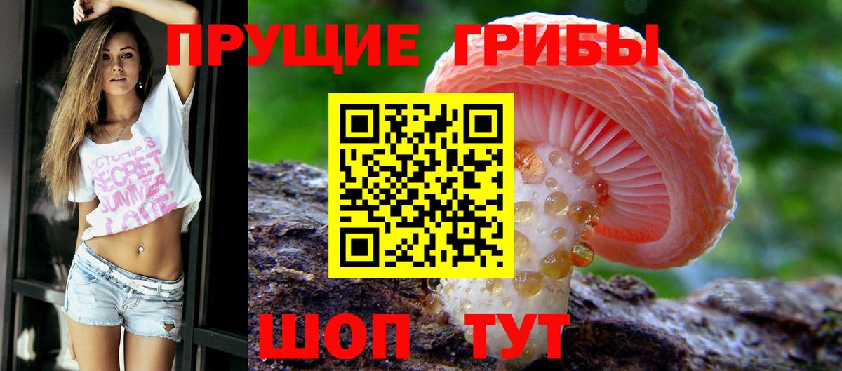 Галлюциногенные грибы мицелий  Вход с VPN  Троицк 